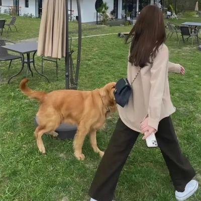 美丽的青春